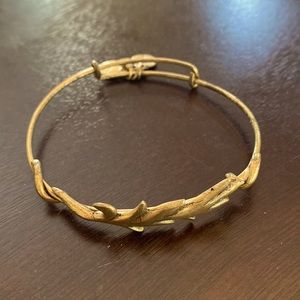 Alex and ani bracelet. Well-loved but cute!
